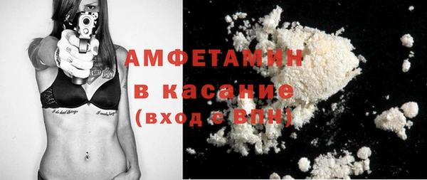 сатива Аркадак