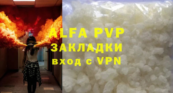 сатива Аркадак