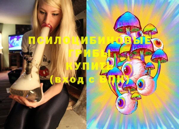 меф Арсеньев