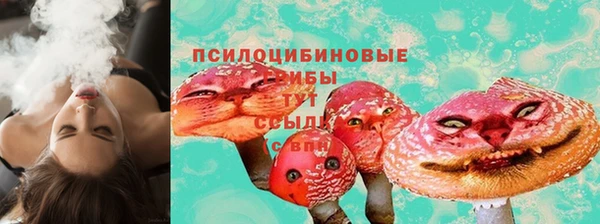 меф Арсеньев