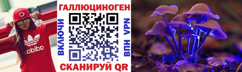 Купить  Удачный  Галлюциногенные грибы Cubensis 